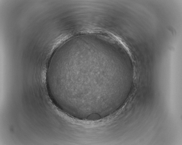 X0000115130010200911101656