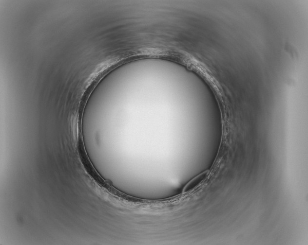 X0000115130011200911101656