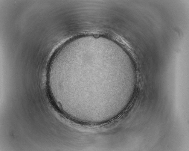 X0000115130012200911101656