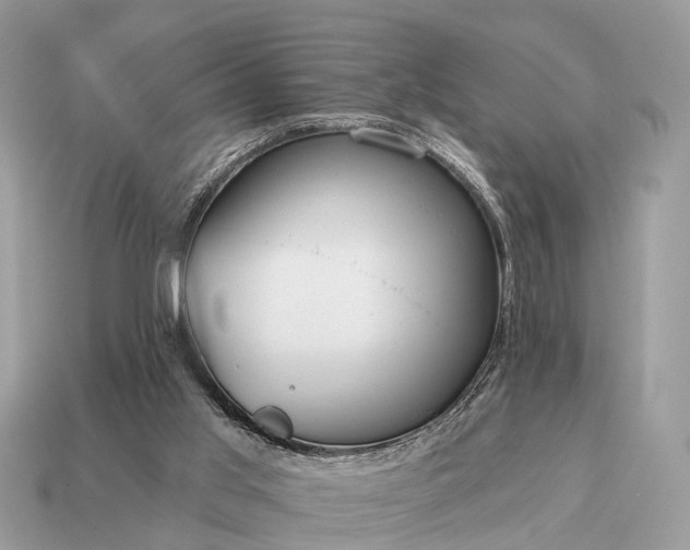 X0000115130013200911101656