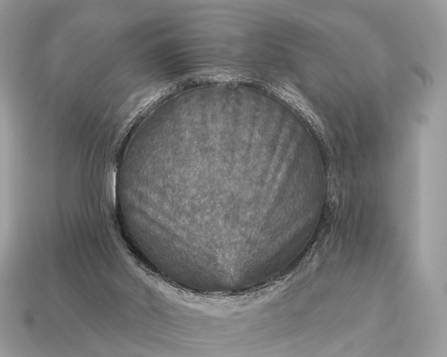 X0000115130014200911101656