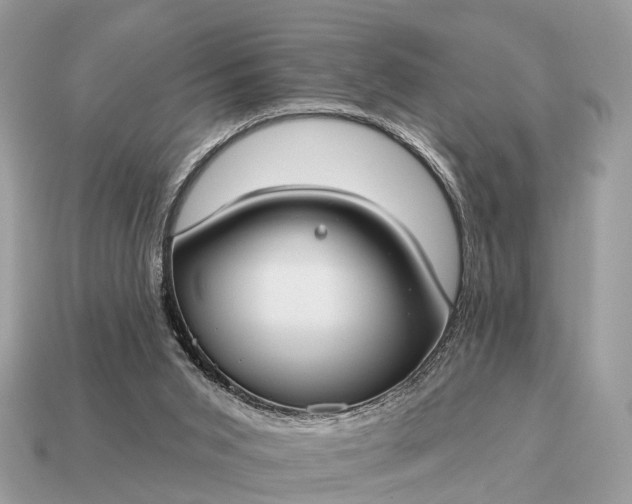 X0000115130015200911101656