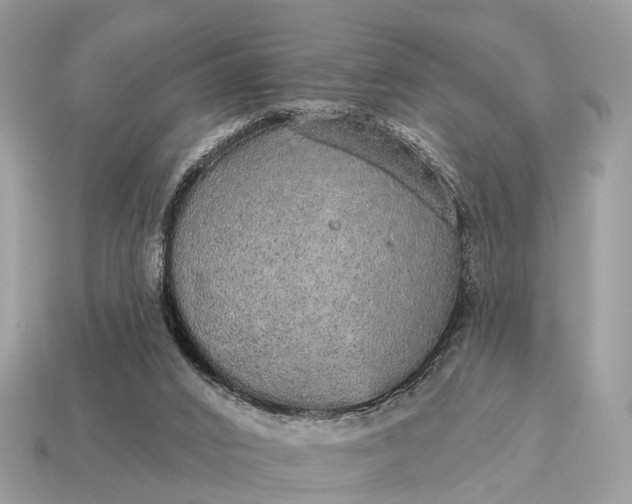 X0000115130016200911101656