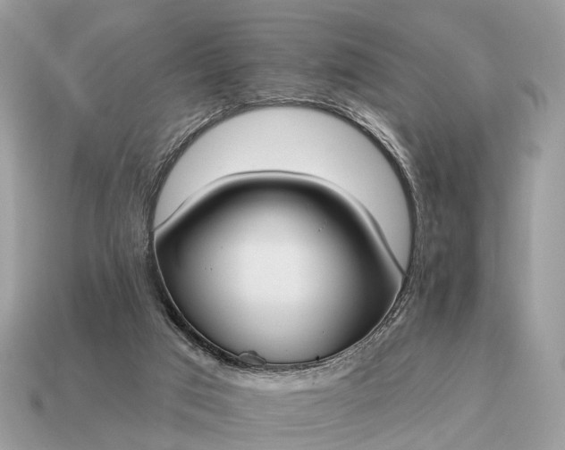 X0000115130017200911101656