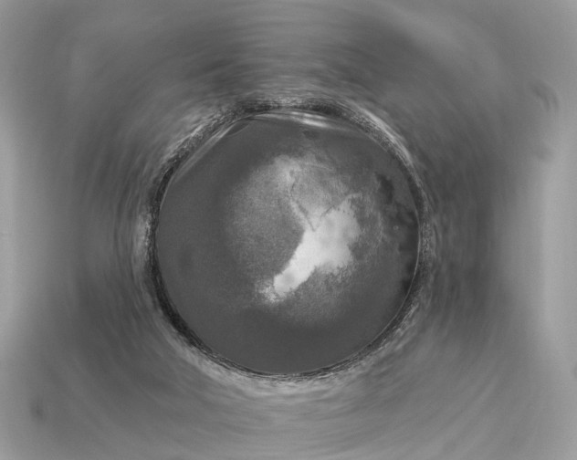 X0000115130018200911101656