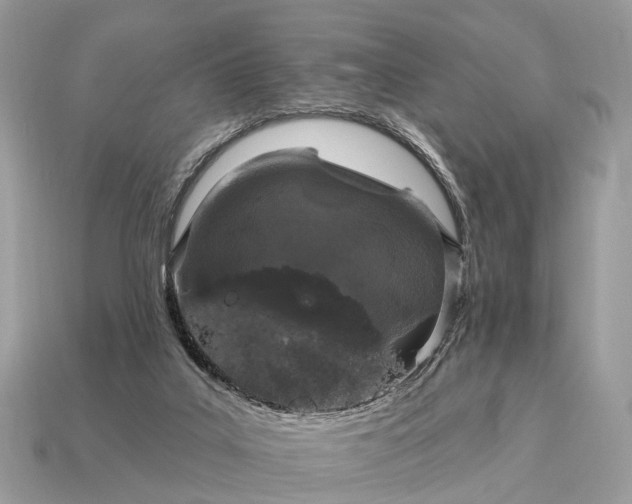 X0000115130019200911101656
