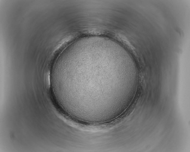 X0000115130020200911101656