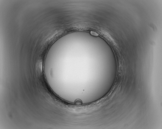 X0000115130021200911101656