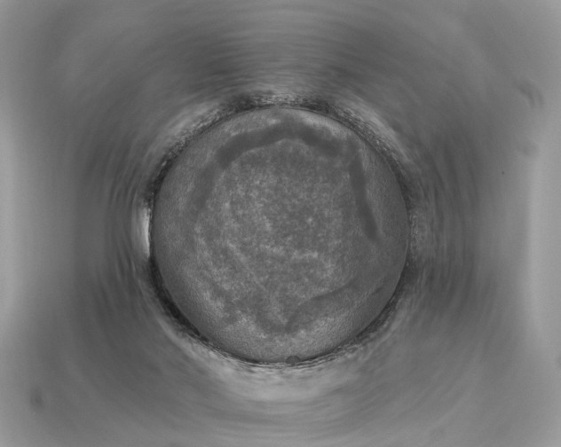 X0000115130022200911101656