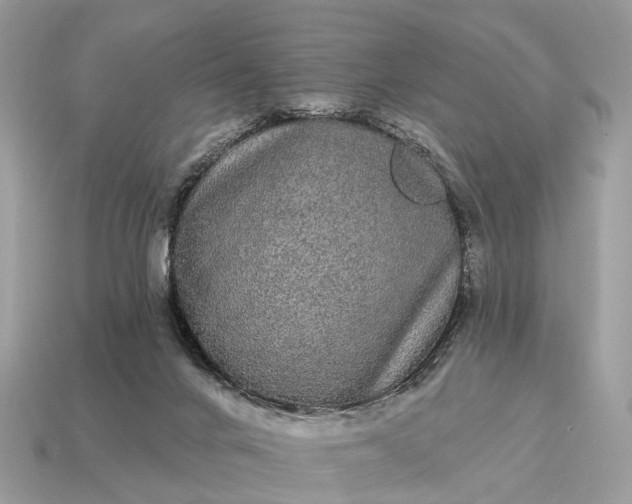 X0000115130024200911101656