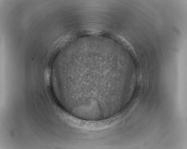 X0000115130026200911101656