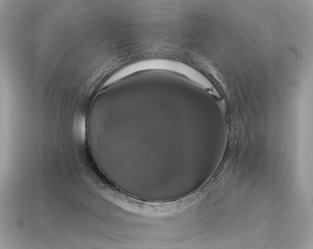 X0000115130027200911101656