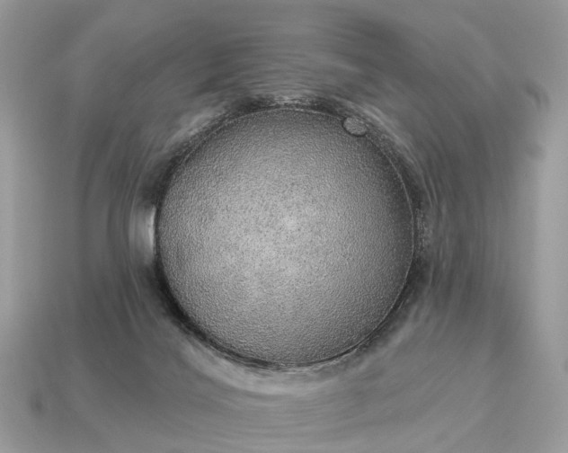 X0000115130028200911101656