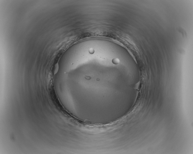 X0000115130029200911101656