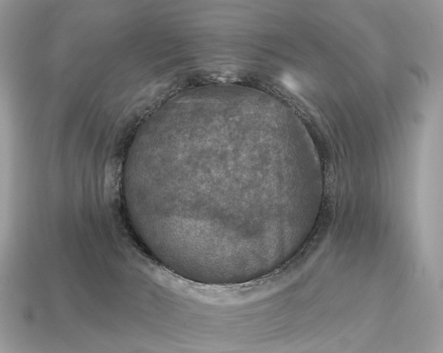 X0000115130030200911101656