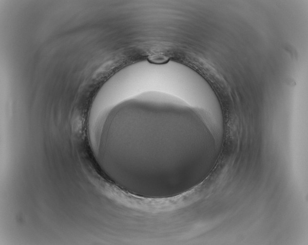 X0000115130031200911101656