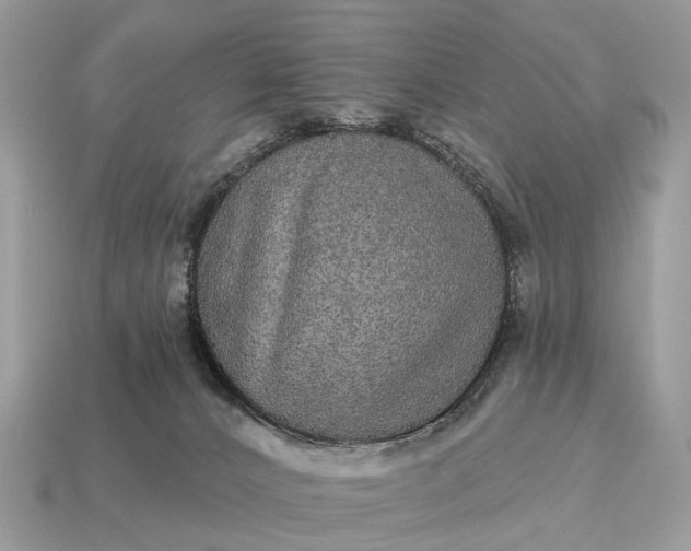 X0000115130032200911101656