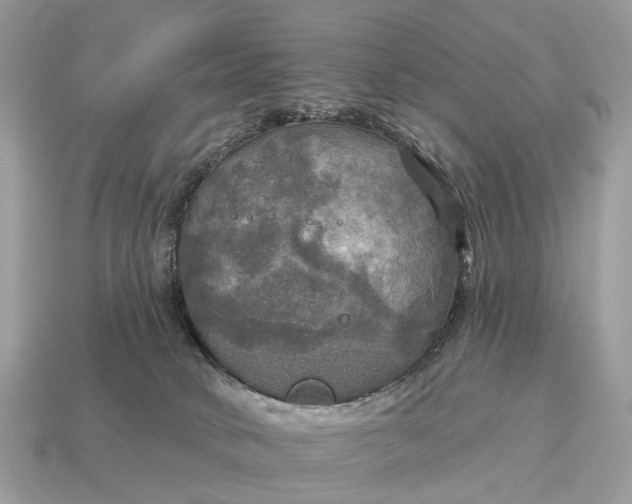 X0000115130034200911101656
