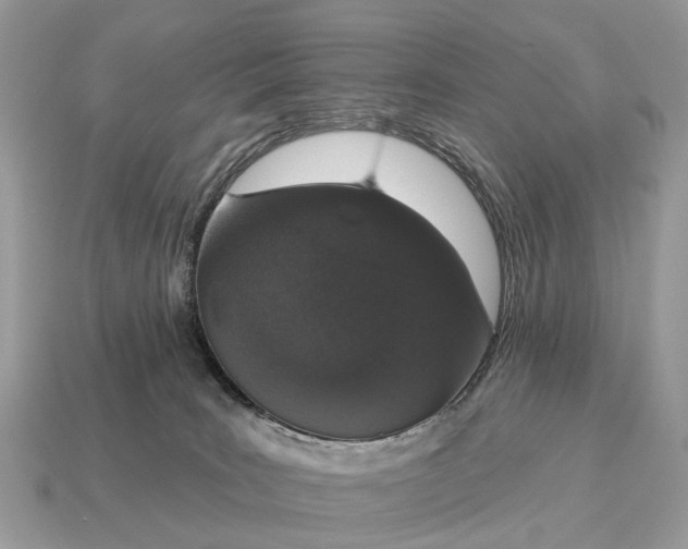 X0000115130035200911101656