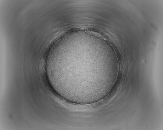 X0000115130036200911101656