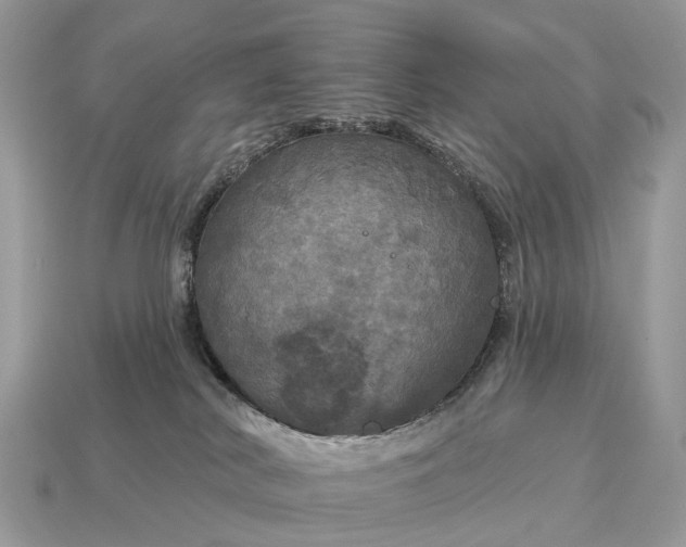 X0000115130038200911101656