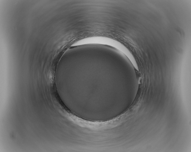 X0000115130039200911101656