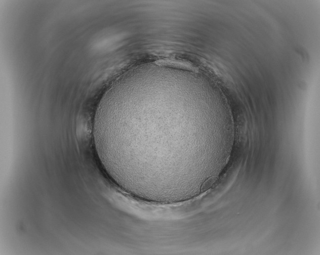 X0000115130040200911101656