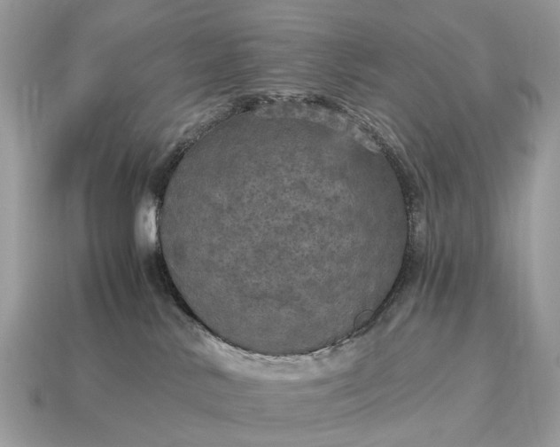 X0000115130042200911101656