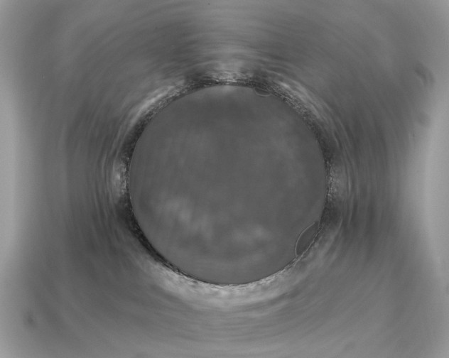 X0000115130043200911101656