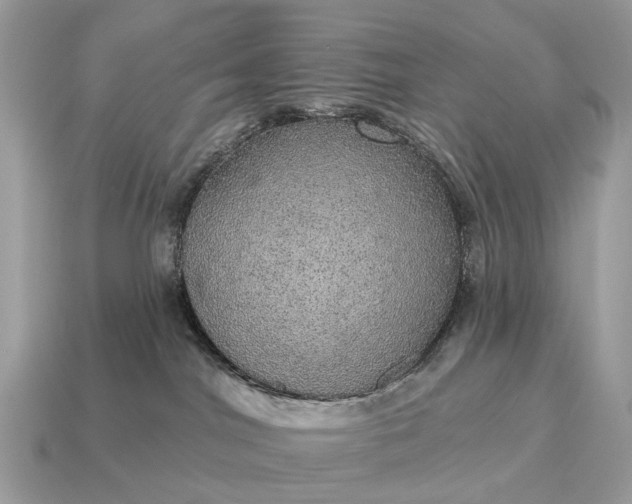 X0000115130044200911101656
