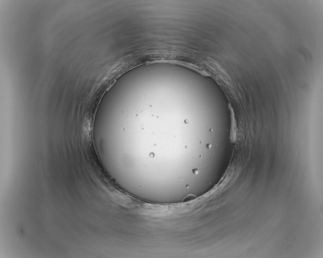 X0000115130045200911101656