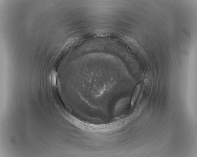 X0000115130046200911101656