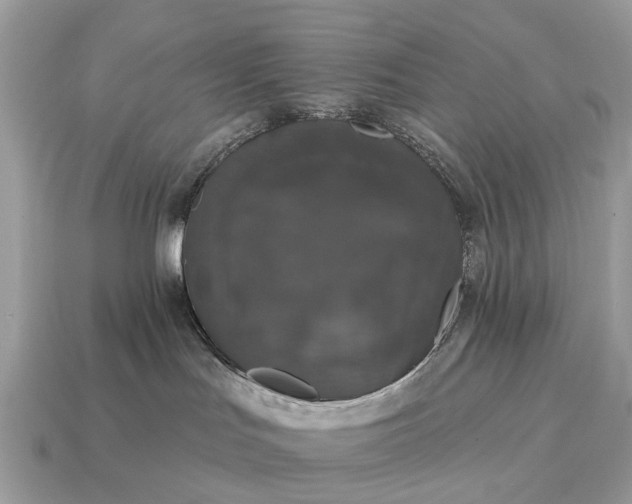 X0000115130047200911101656