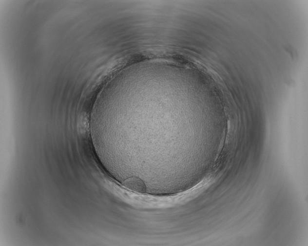 X0000115130048200911101656
