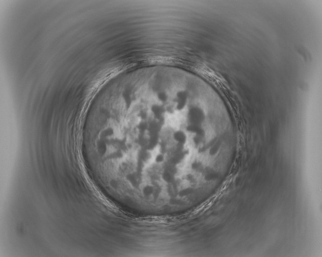X0000115130049200911101655