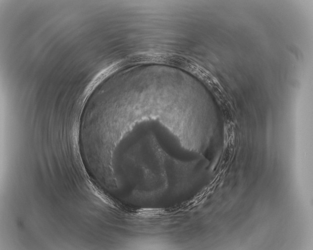 X0000115130051200911101655