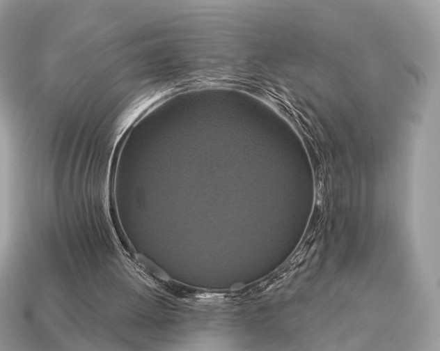 X0000115130052200911101655