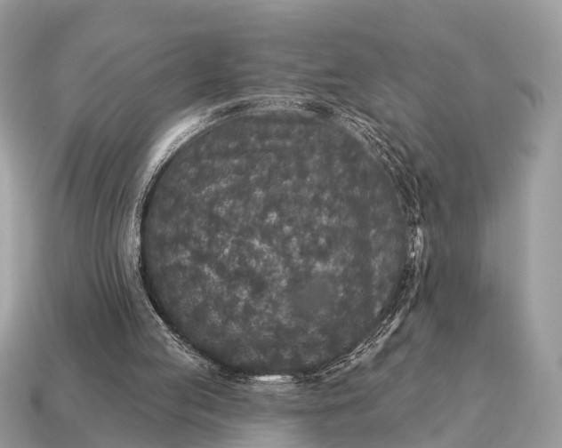 X0000115130053200911101655