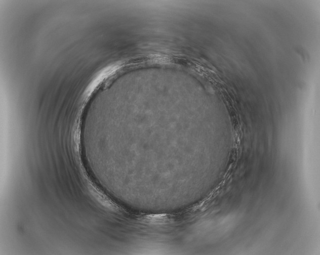 X0000115130054200911101655