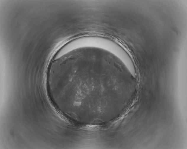 X0000115130055200911101655