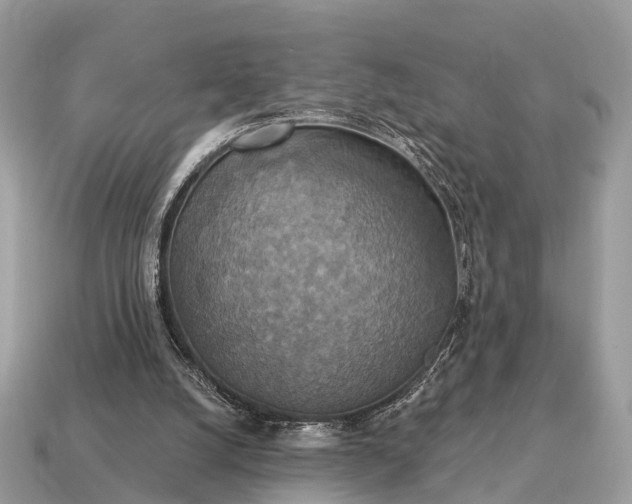 X0000115130056200911101655