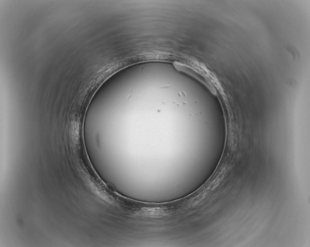 X0000115130057200911101655