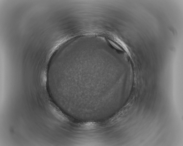 X0000115130059200911101655