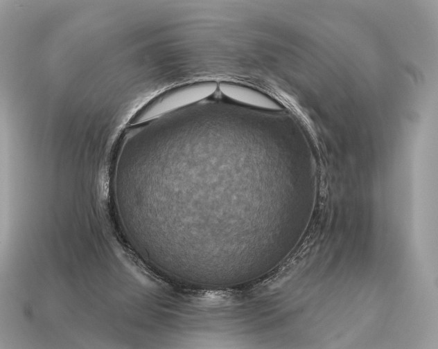 X0000115130060200911101655