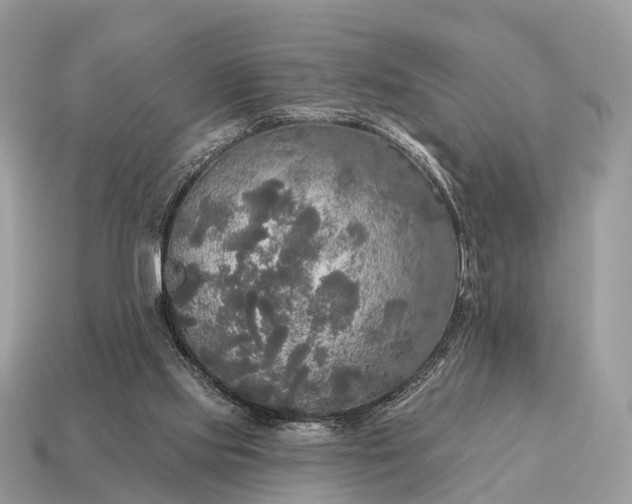 X0000115130061200911101655