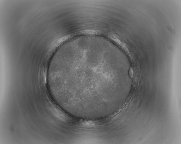 X0000115130062200911101655