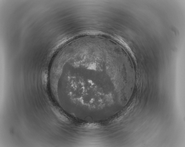 X0000115130063200911101655