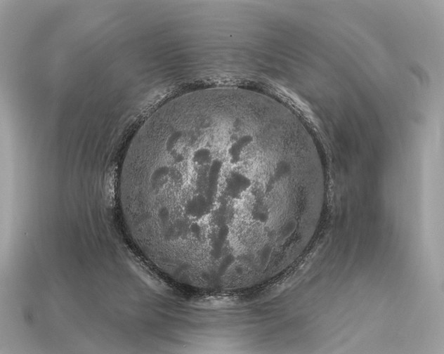 X0000115130065200911101655