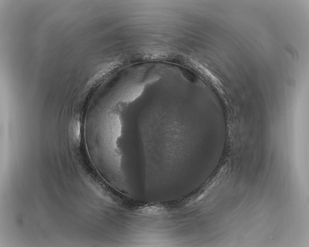 X0000115130067200911101655