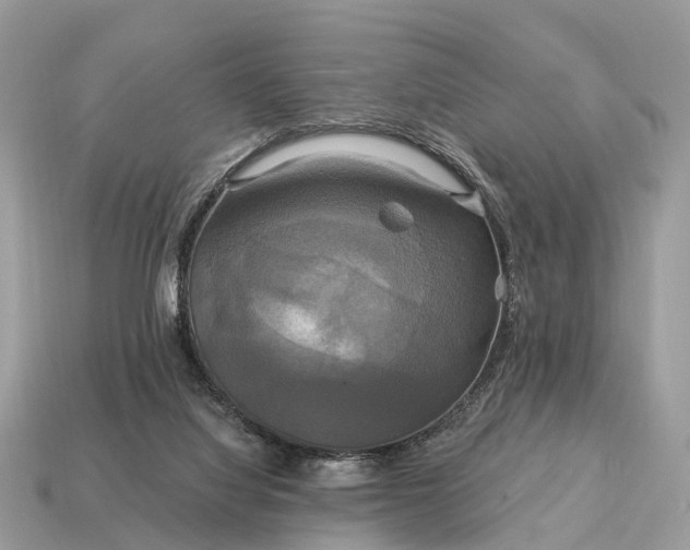 X0000115130068200911101655